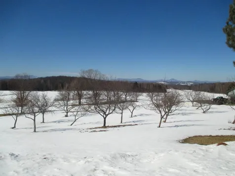 695 Derby Gore Road Morgan VT 05853