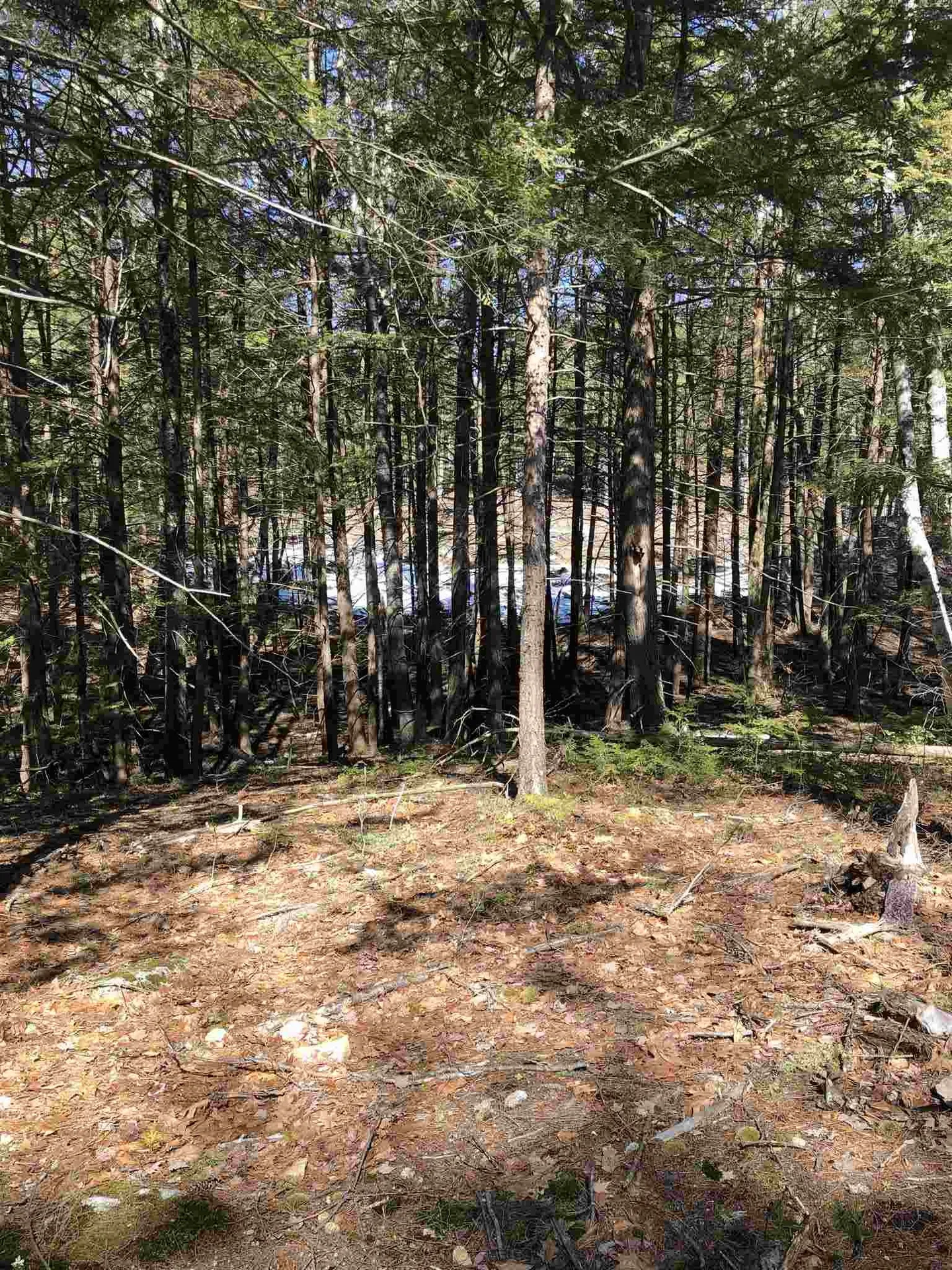 59 Purgatory Road Mont Vernon NH 03057