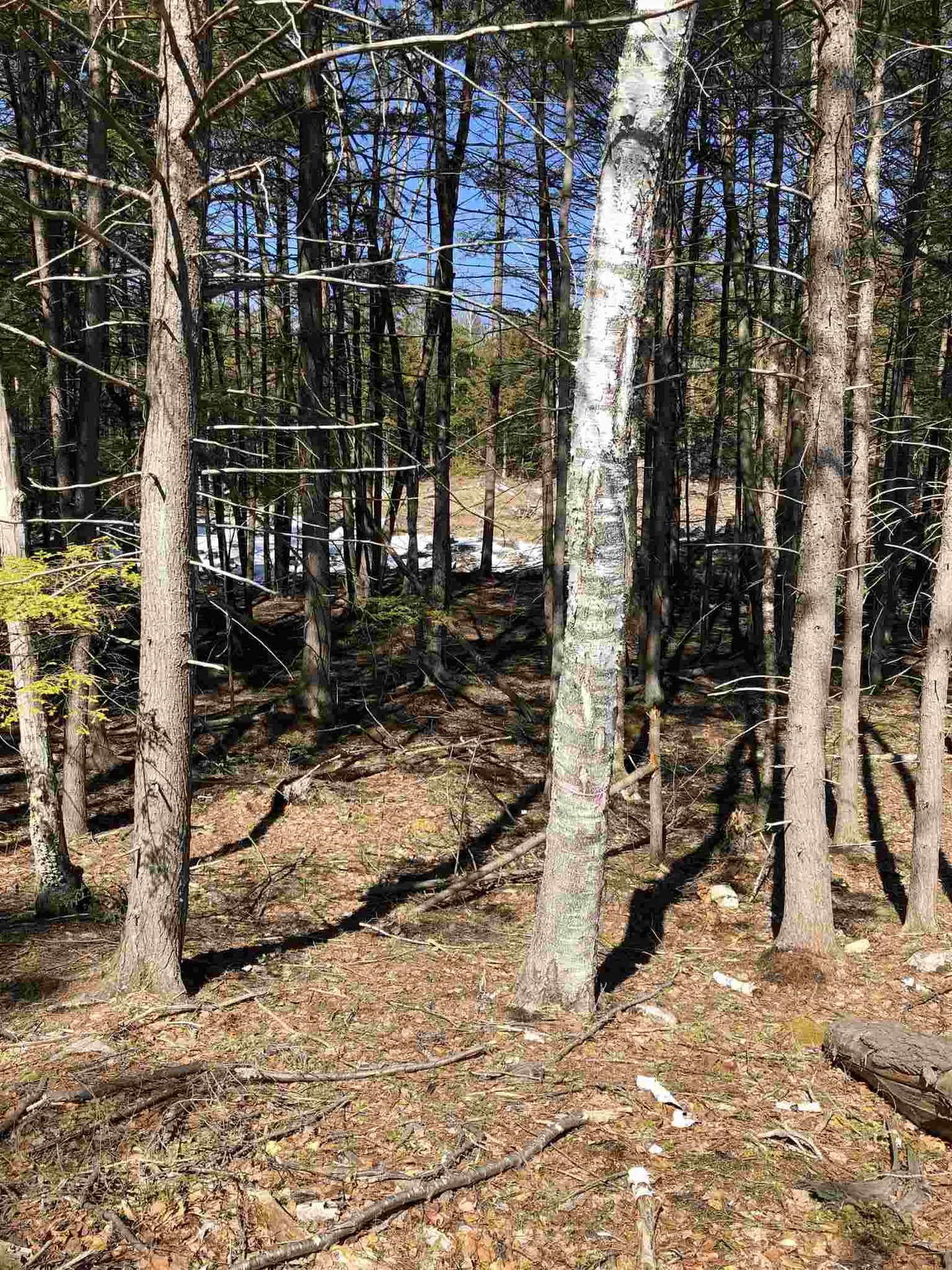 59 Purgatory Road Mont Vernon NH 03057