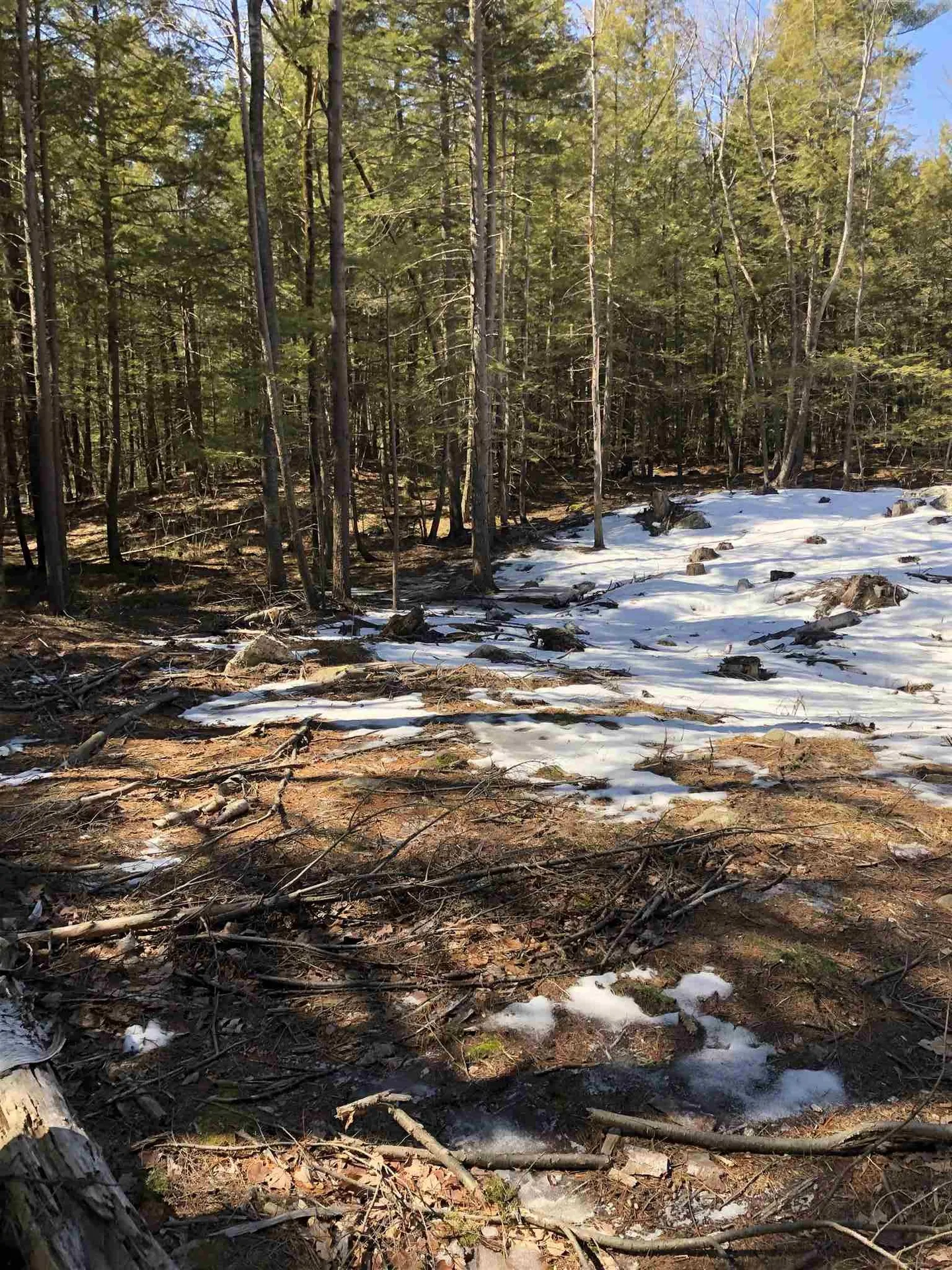59 Purgatory Road Mont Vernon NH 03057