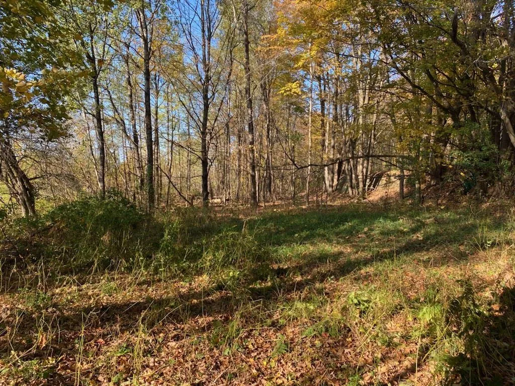 3568 Route 116 Starksboro VT 05487