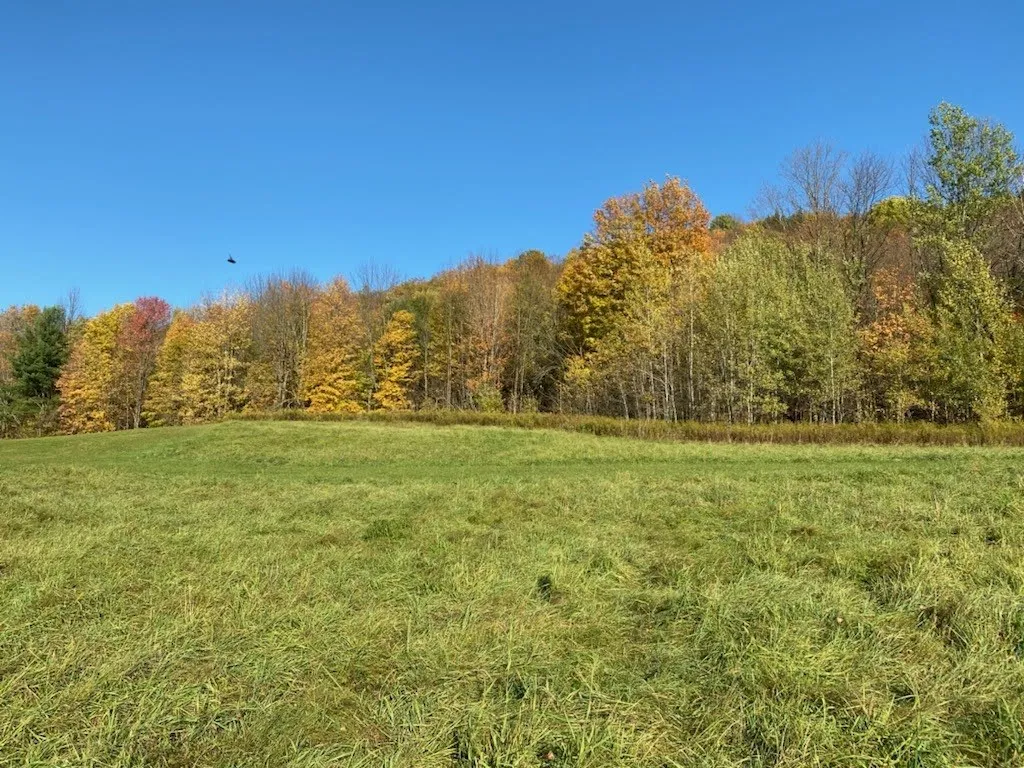 3568 Route 116 Starksboro VT 05487