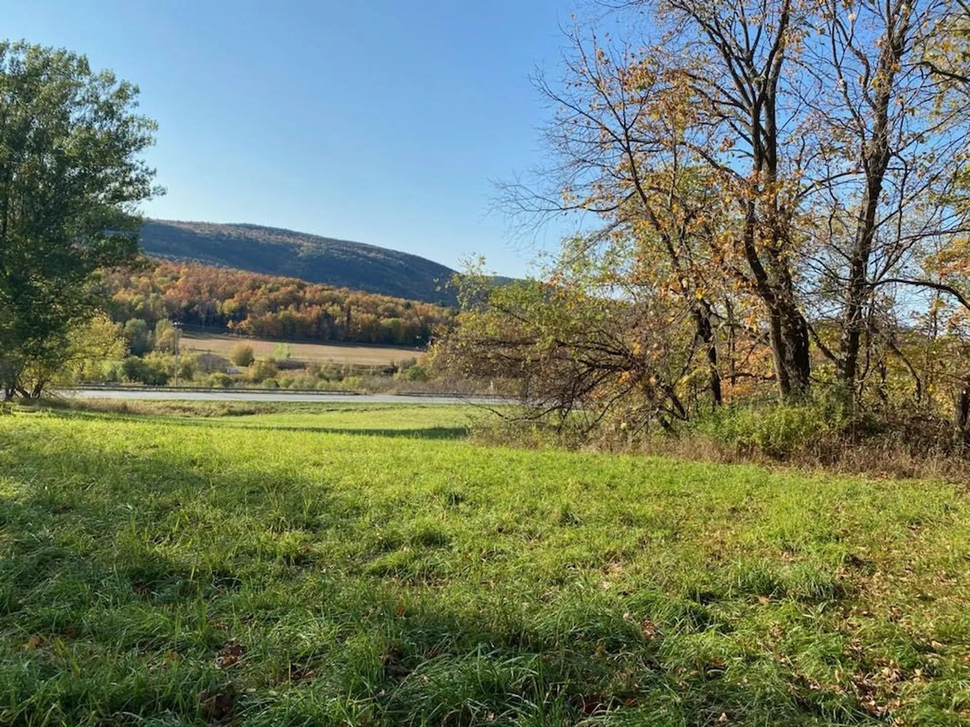 3568 Route 116 Starksboro VT 05487