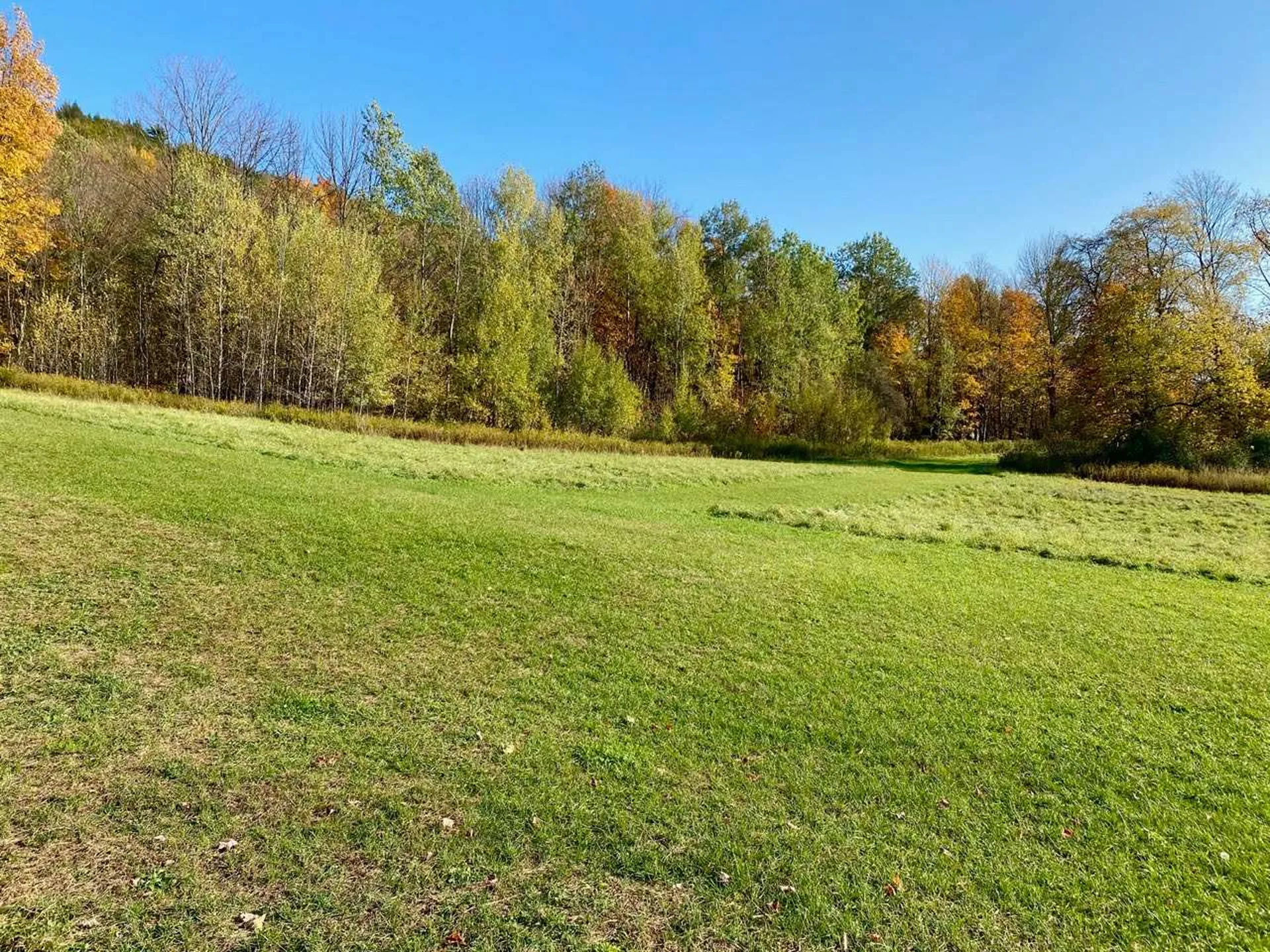 3568 Route 116 Starksboro VT 05487