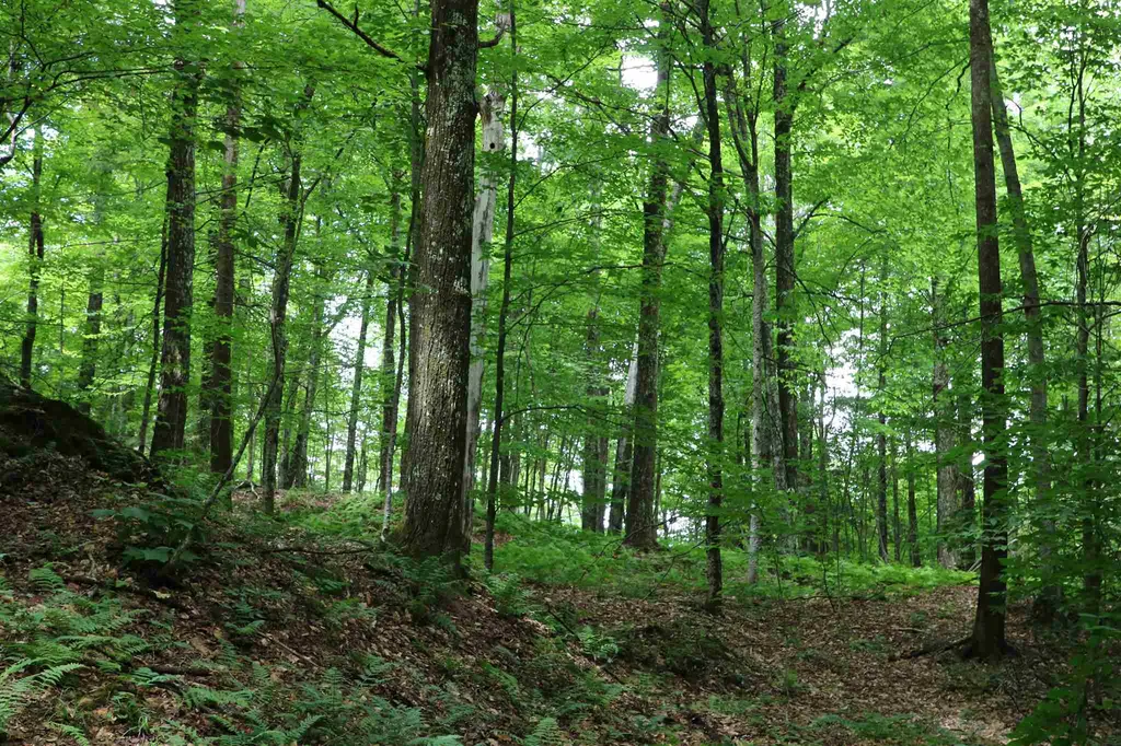 0 Braintree Hill Road Braintree VT 05060