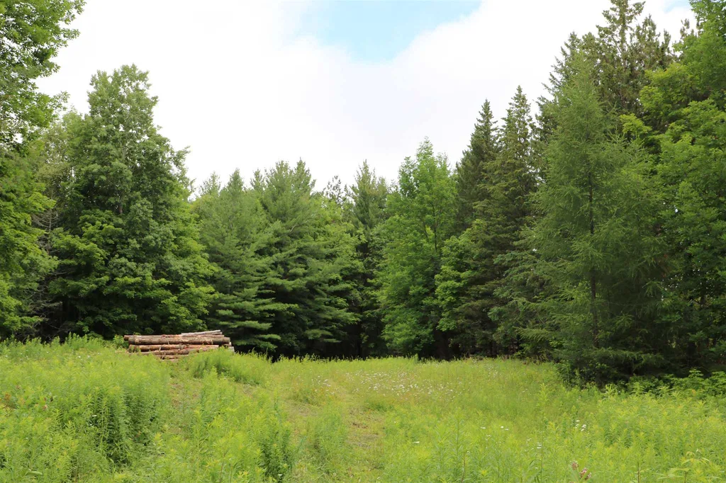 0 Braintree Hill Road Braintree VT 05060