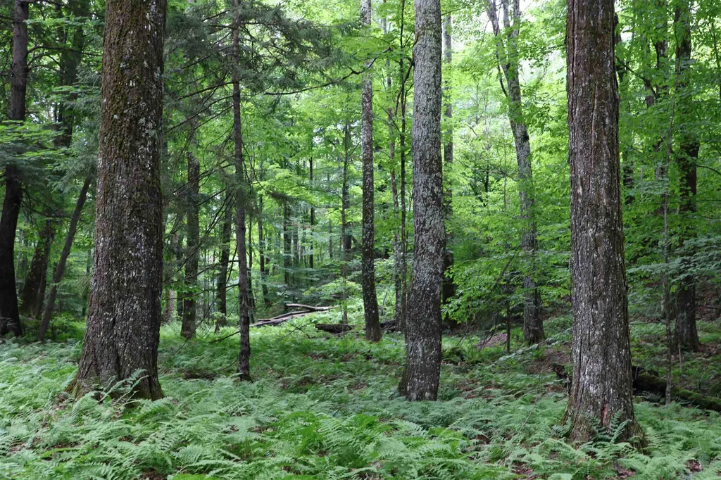 0 Braintree Hill Road Braintree VT 05060