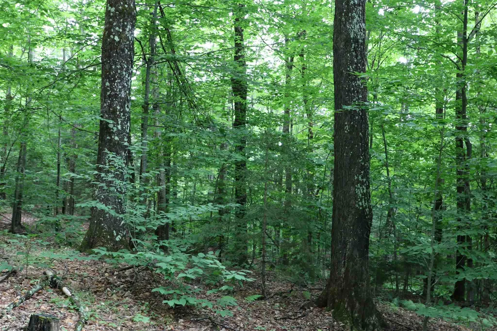 0 Braintree Hill Road Braintree VT 05060