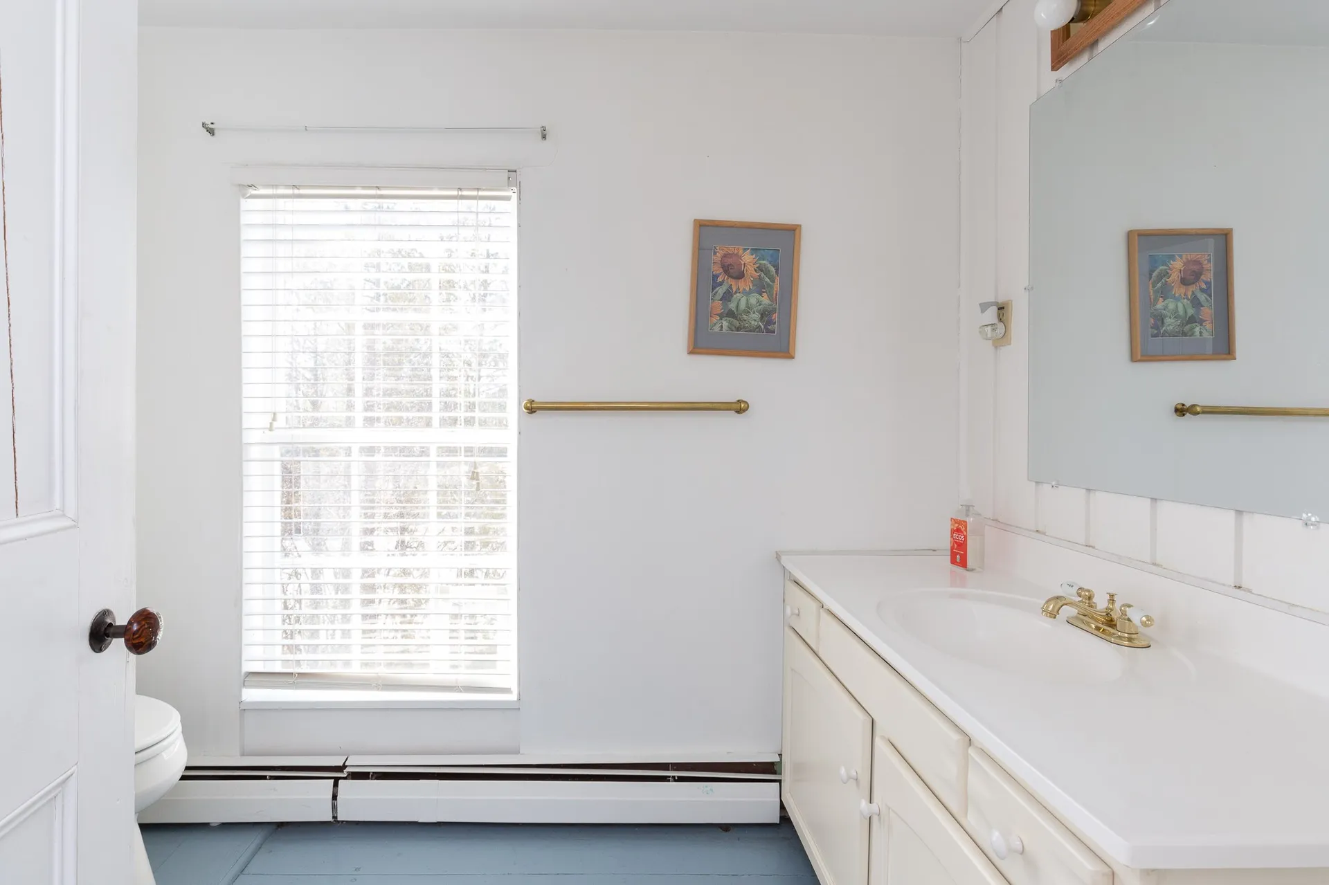 5 Johnson Way South Burlington VT 05403