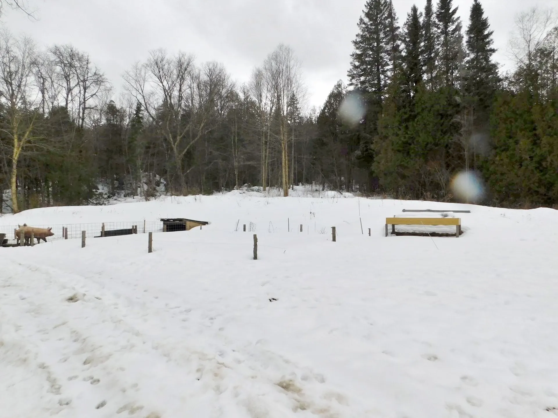 2503 Route 105 Brighton VT 05846