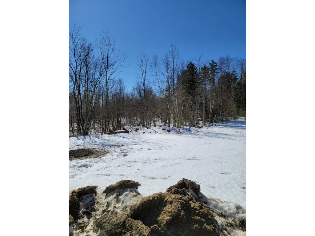 1610 Carlisle Hill Road Goshen VT 05733