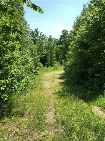 Vt Route 109 Belvidere VT 05442