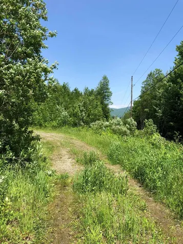 Vt Route 109 Belvidere VT 05442