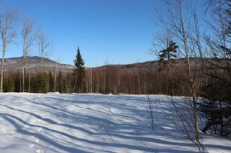 Vt Route 109 Belvidere VT 05442