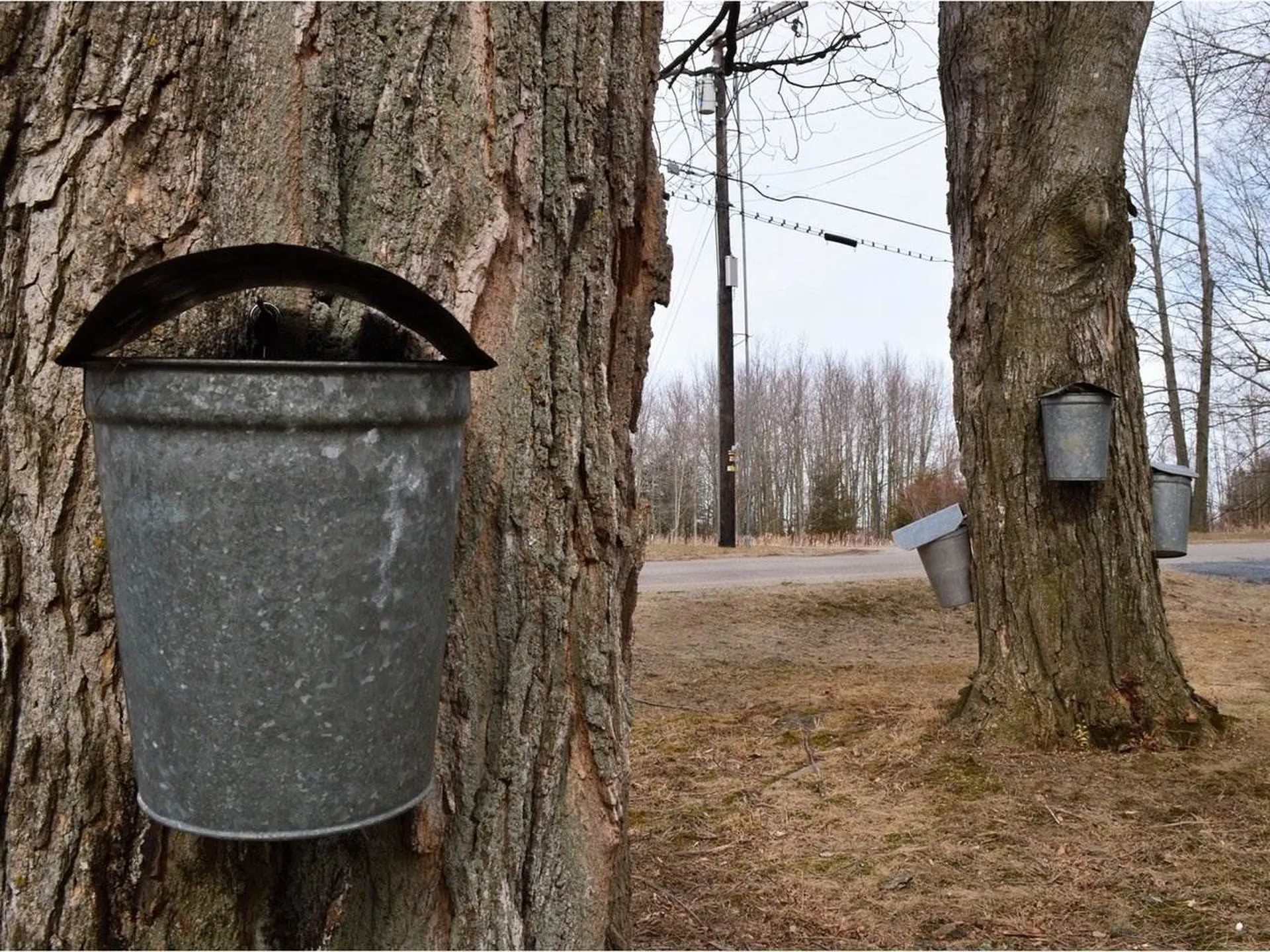 52 Adams School Road Grand Isle VT 05458