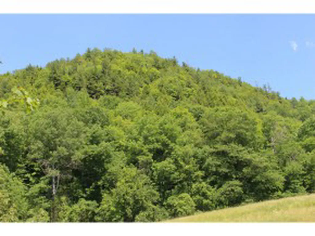 East Cobble Hill Road Barre Town VT 05641