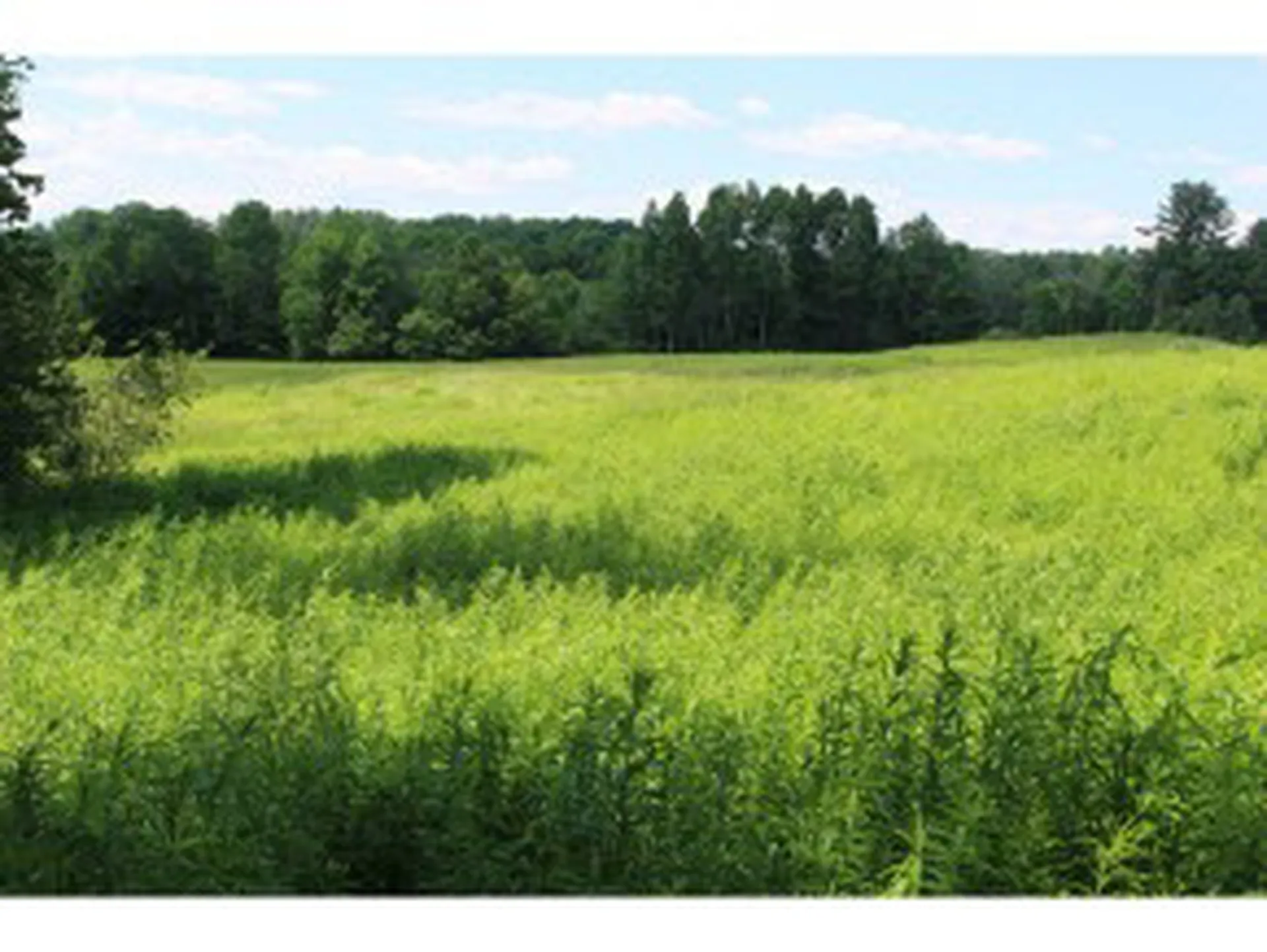 East Cobble Hill Road Barre Town VT 05641