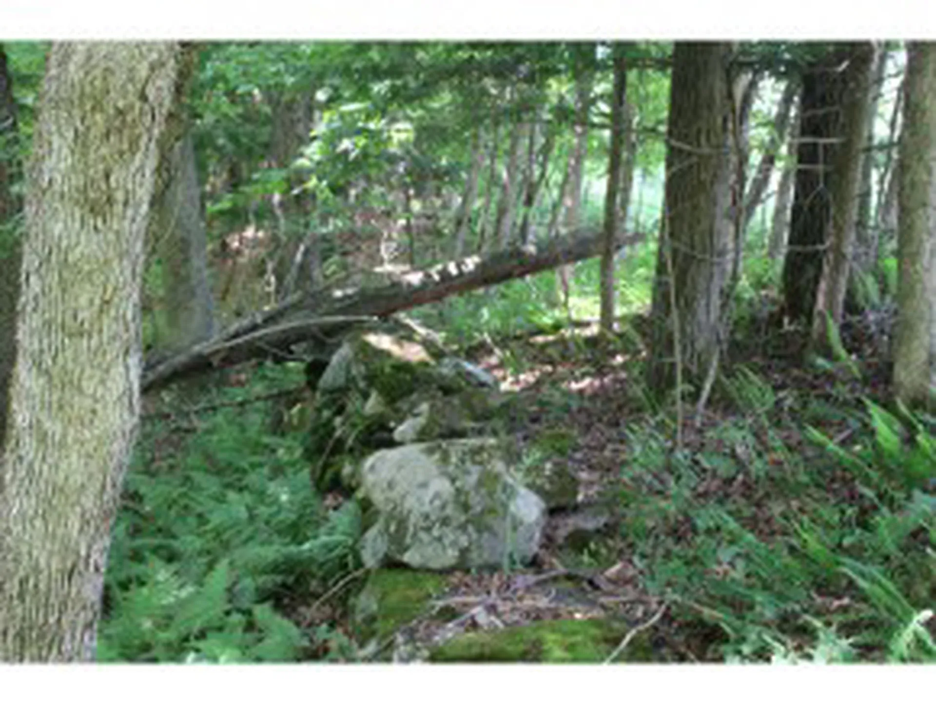 East Cobble Hill Road Barre Town VT 05641