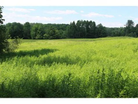 East Cobble Hill Road Barre Town VT 05641