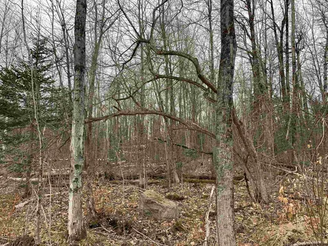 701 North Jay Road Jay VT 05829