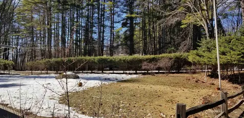 478 Orchard Street Brattleboro VT 05301