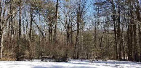 478 Orchard Street Brattleboro VT 05301