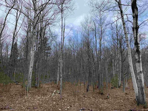 701 North Jay Road Jay VT 05859