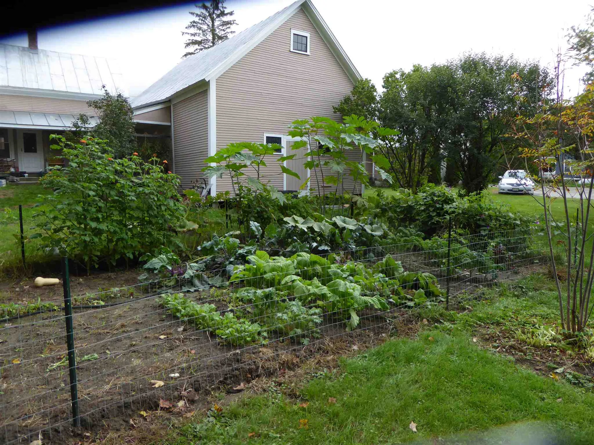 230 South Windsor Street Royalton VT 05068