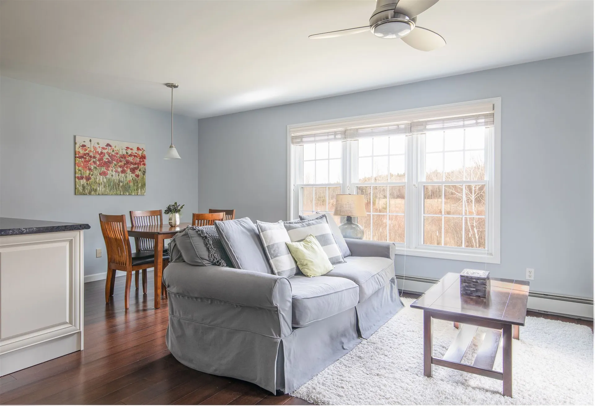 567 Longmeadow Drive Shelburne VT 05482