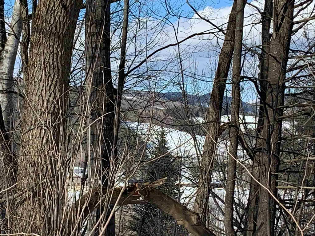 6 Highland Avenue Woodstock VT 05091