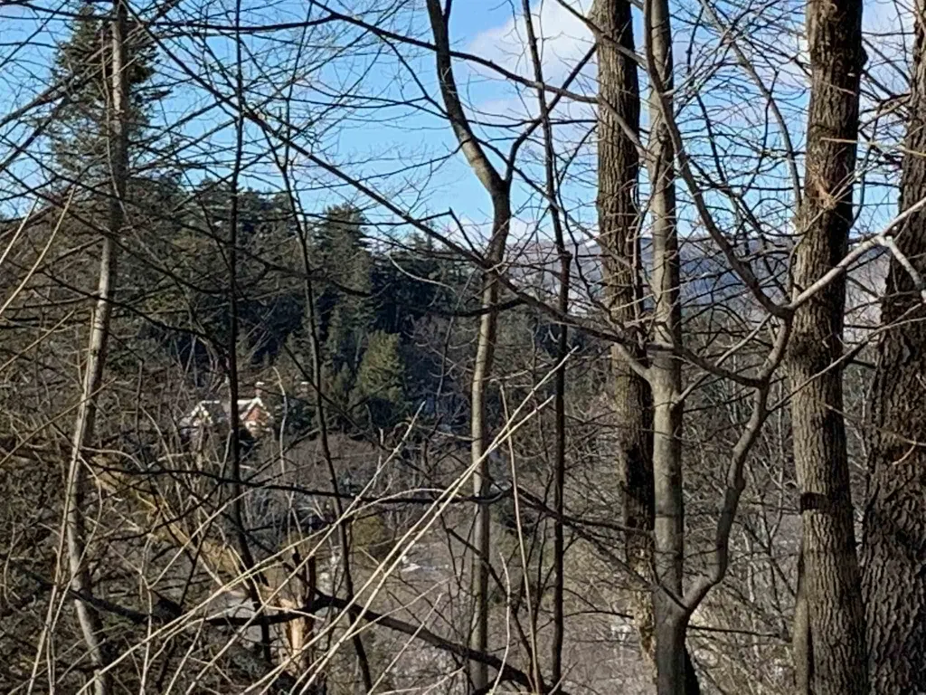 6 Highland Avenue Woodstock VT 05091