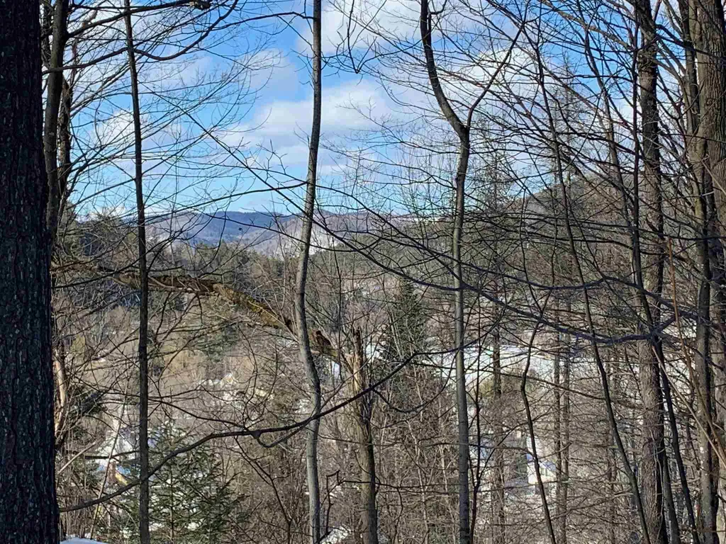 6 Highland Avenue Woodstock VT 05091