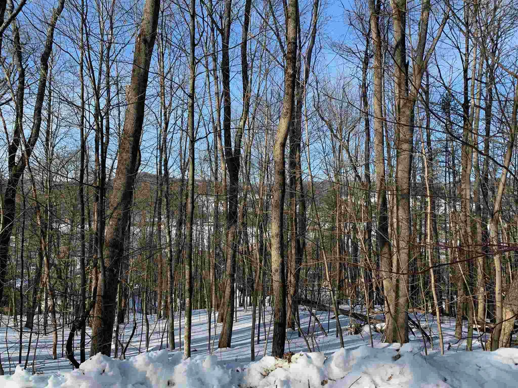 6 Highland Avenue Woodstock VT 05091