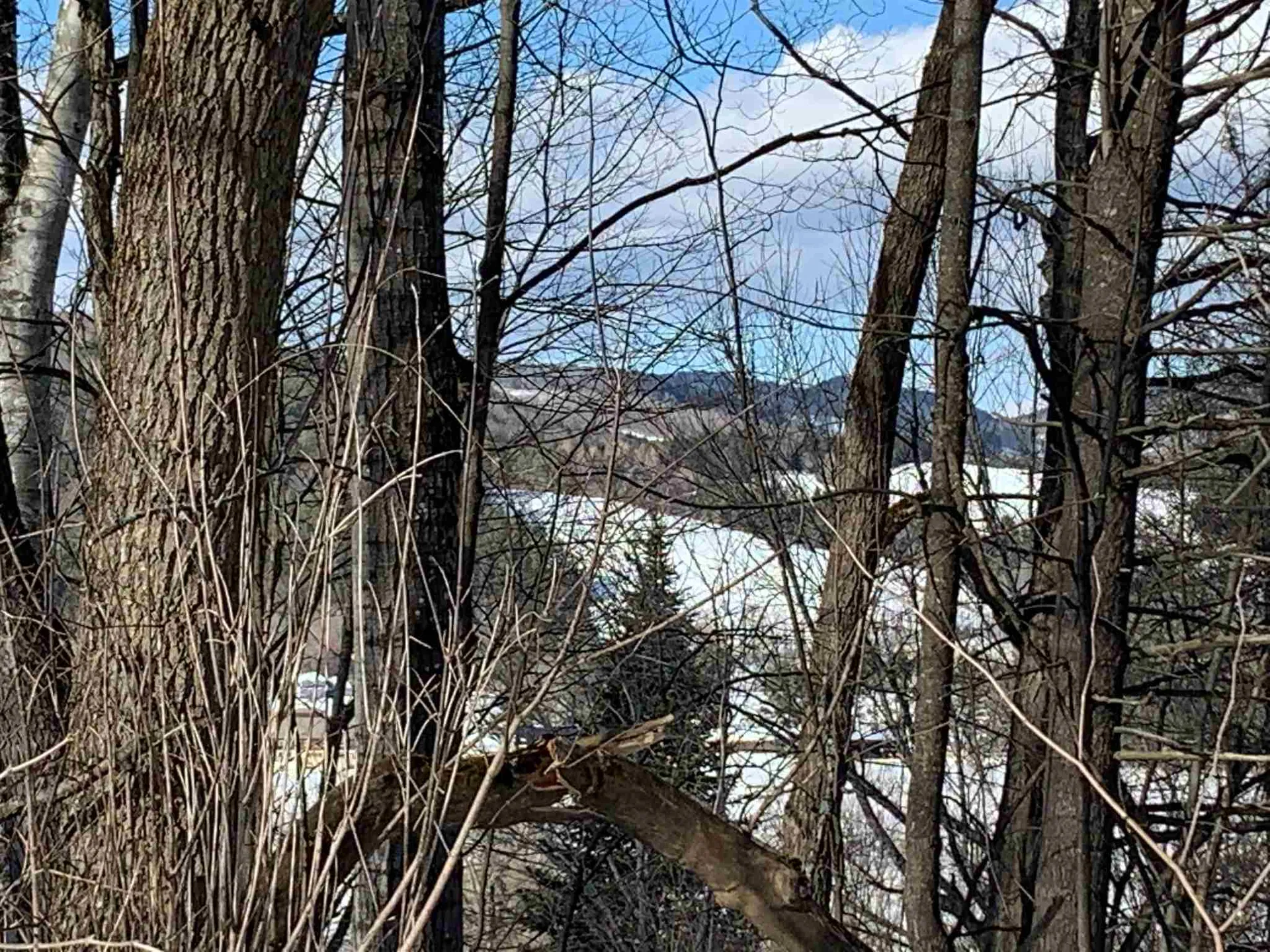 6 Highland Avenue Woodstock VT 05091