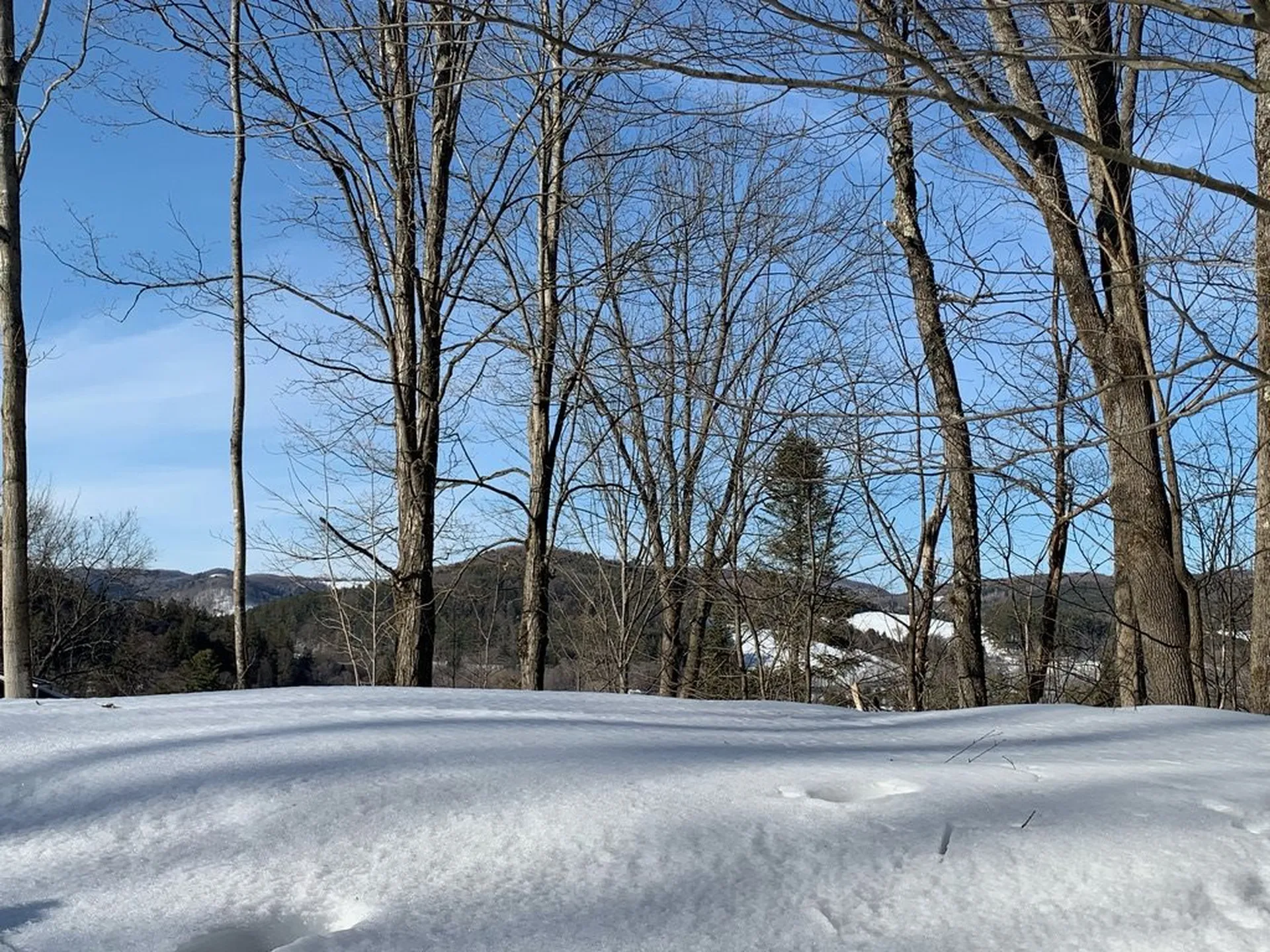 6 Highland Avenue Woodstock VT 05091