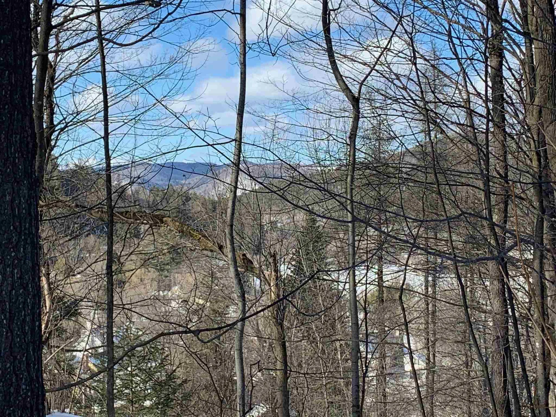 6 Highland Avenue Woodstock VT 05091