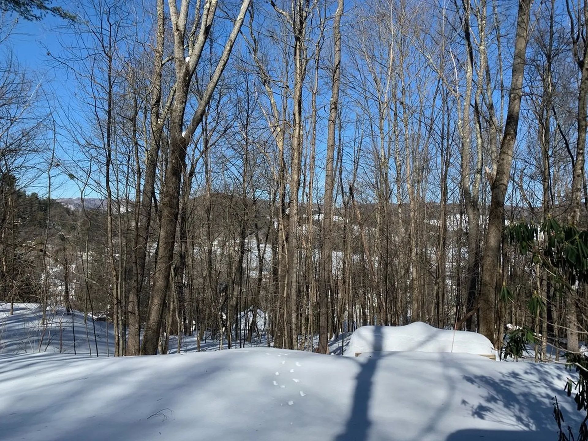 6 Highland Avenue Woodstock VT 05091