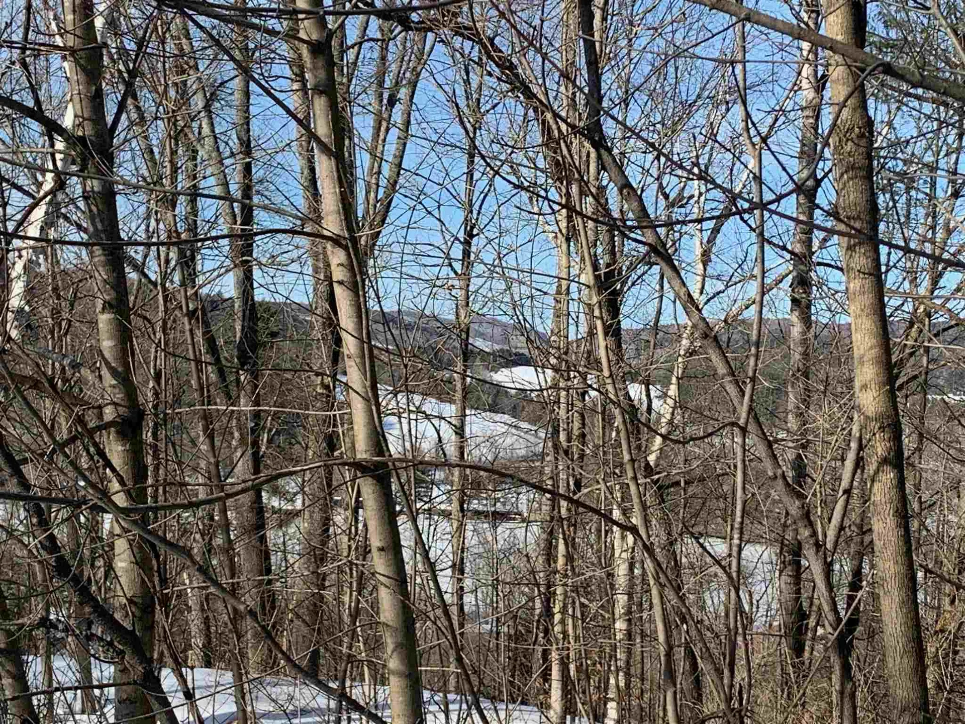 6 Highland Avenue Woodstock VT 05091