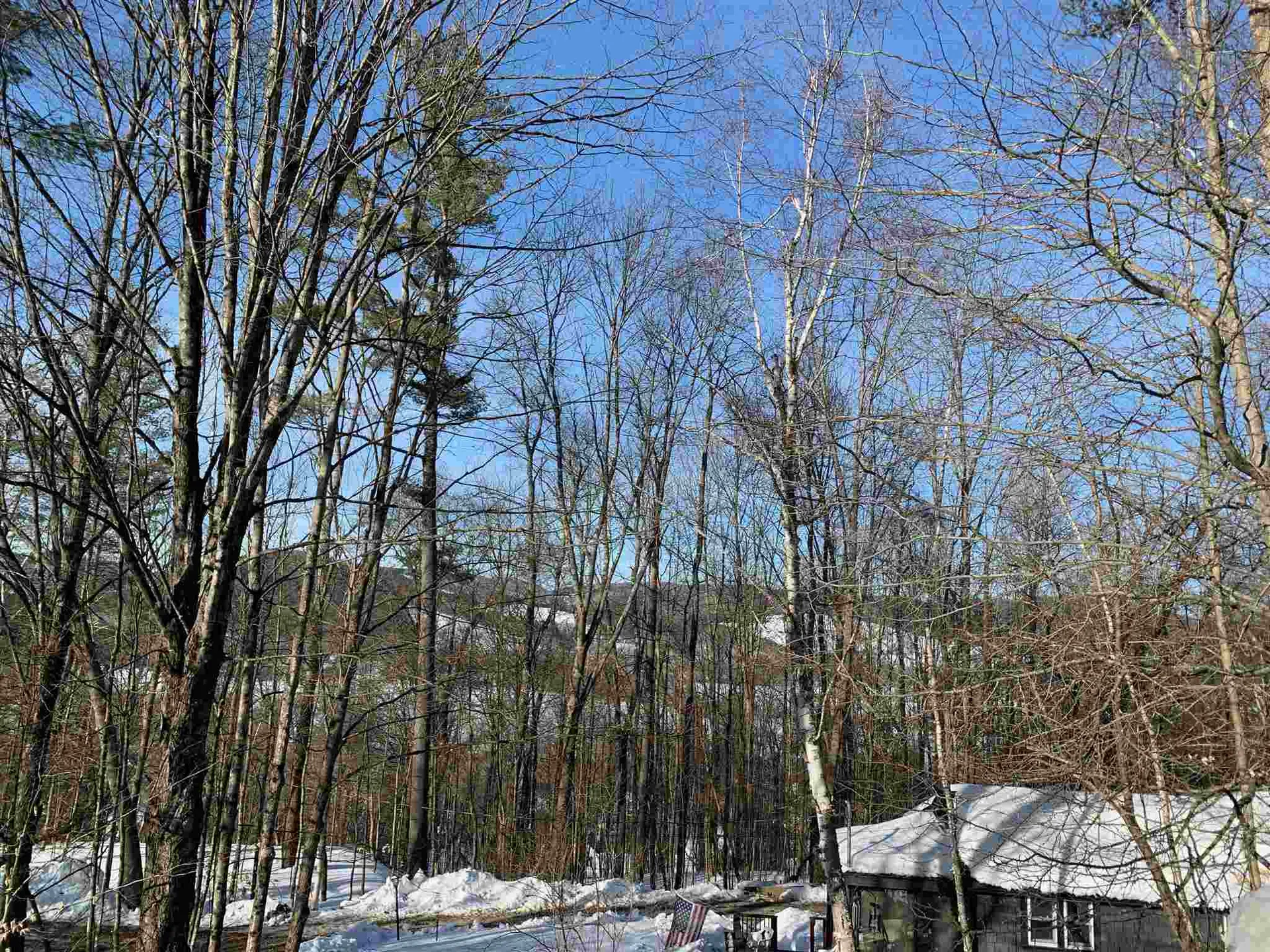 6 Highland Avenue Woodstock VT 05091
