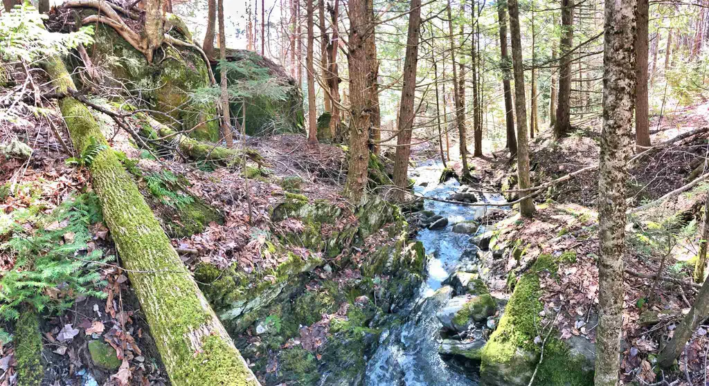 1765 Vt Route 125 Hancock VT 05748