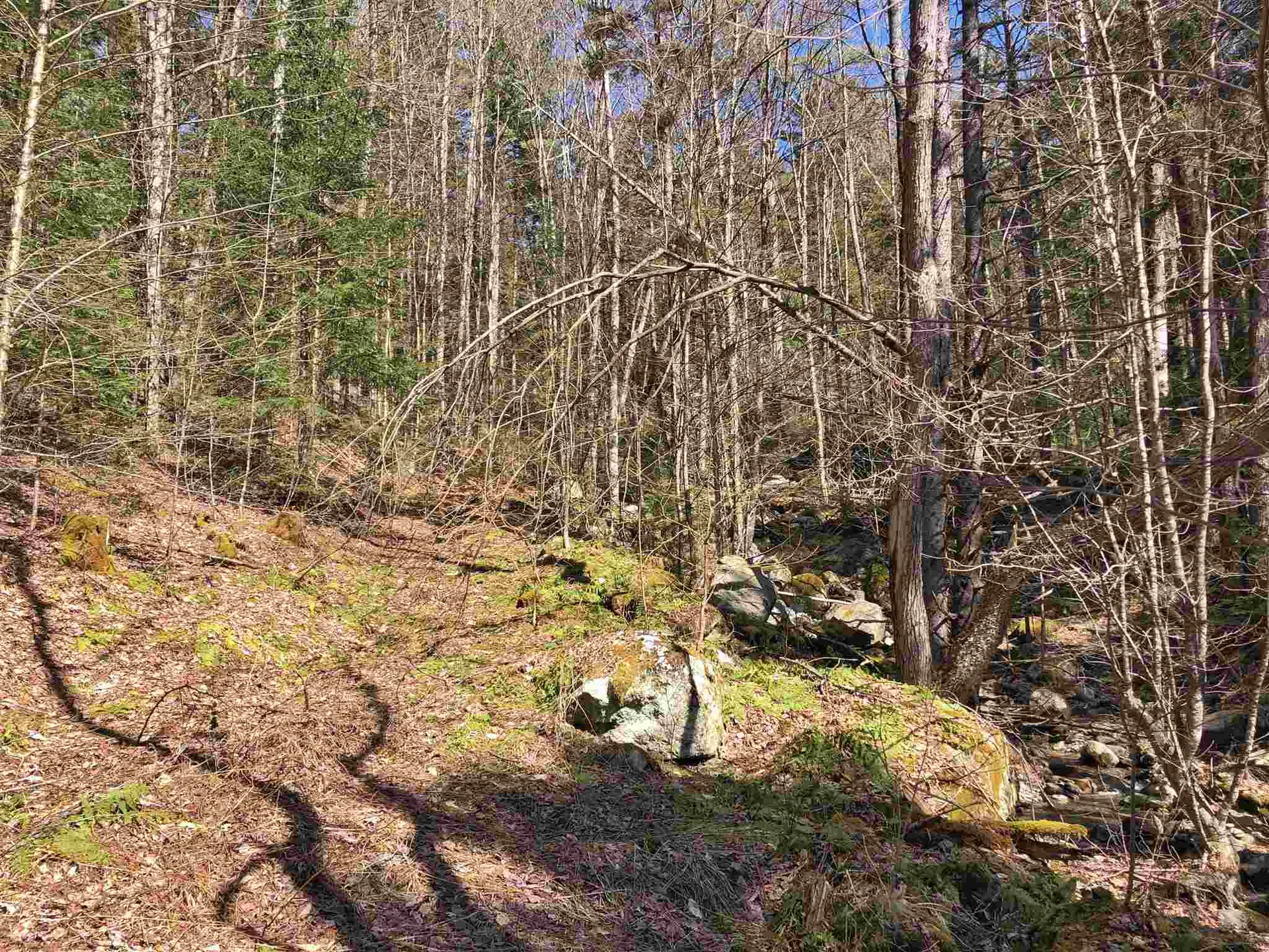 1765 Vt Route 125 Hancock VT 05748