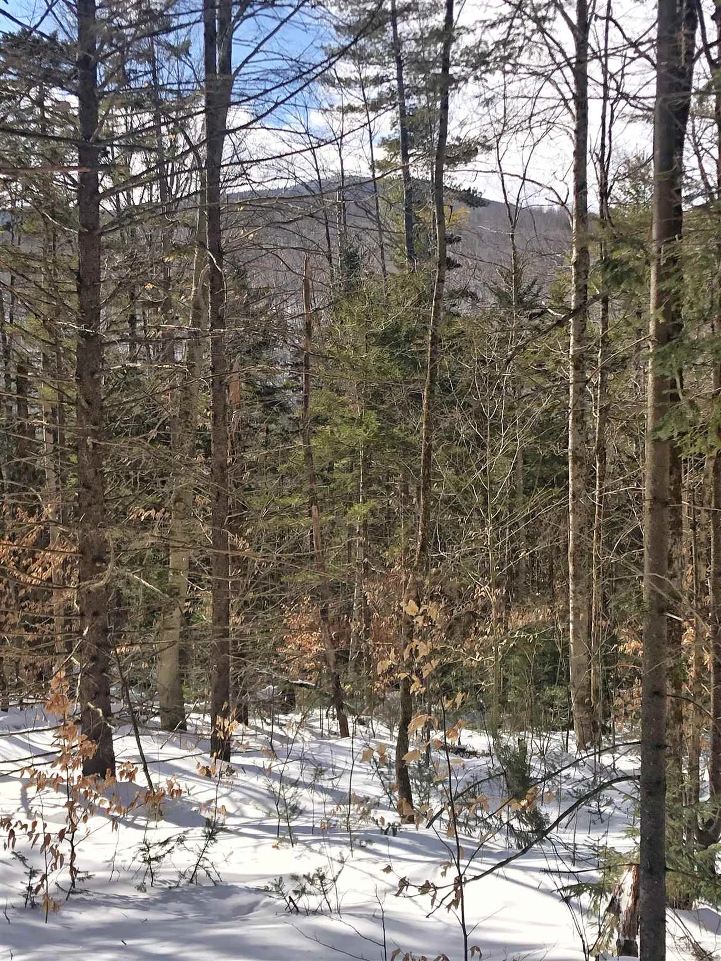 1765 Vt Route 125 Hancock VT 05748