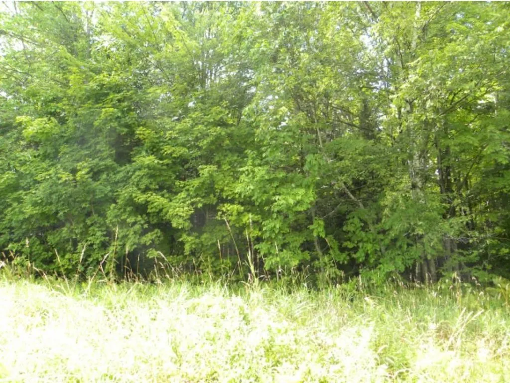 Off Ball Ground Road Westfield VT 05874