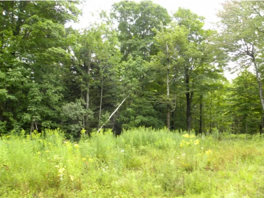 Off Ball Ground Road Westfield VT 05874