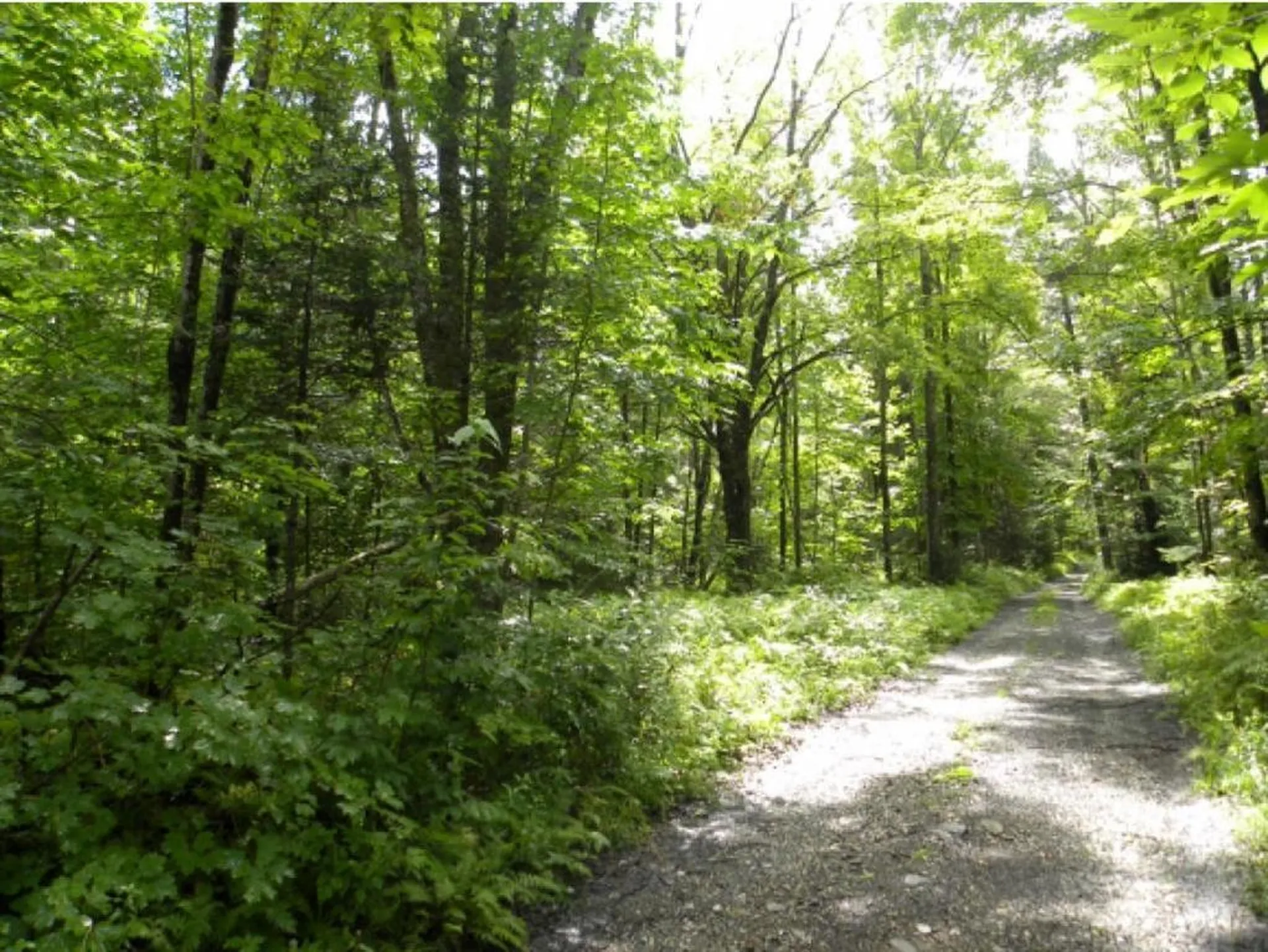 Off Ball Ground Road Westfield VT 05874