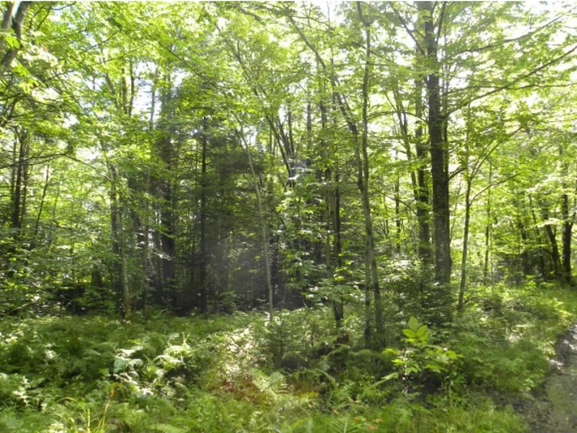 Off Ball Ground Road Westfield VT 05874