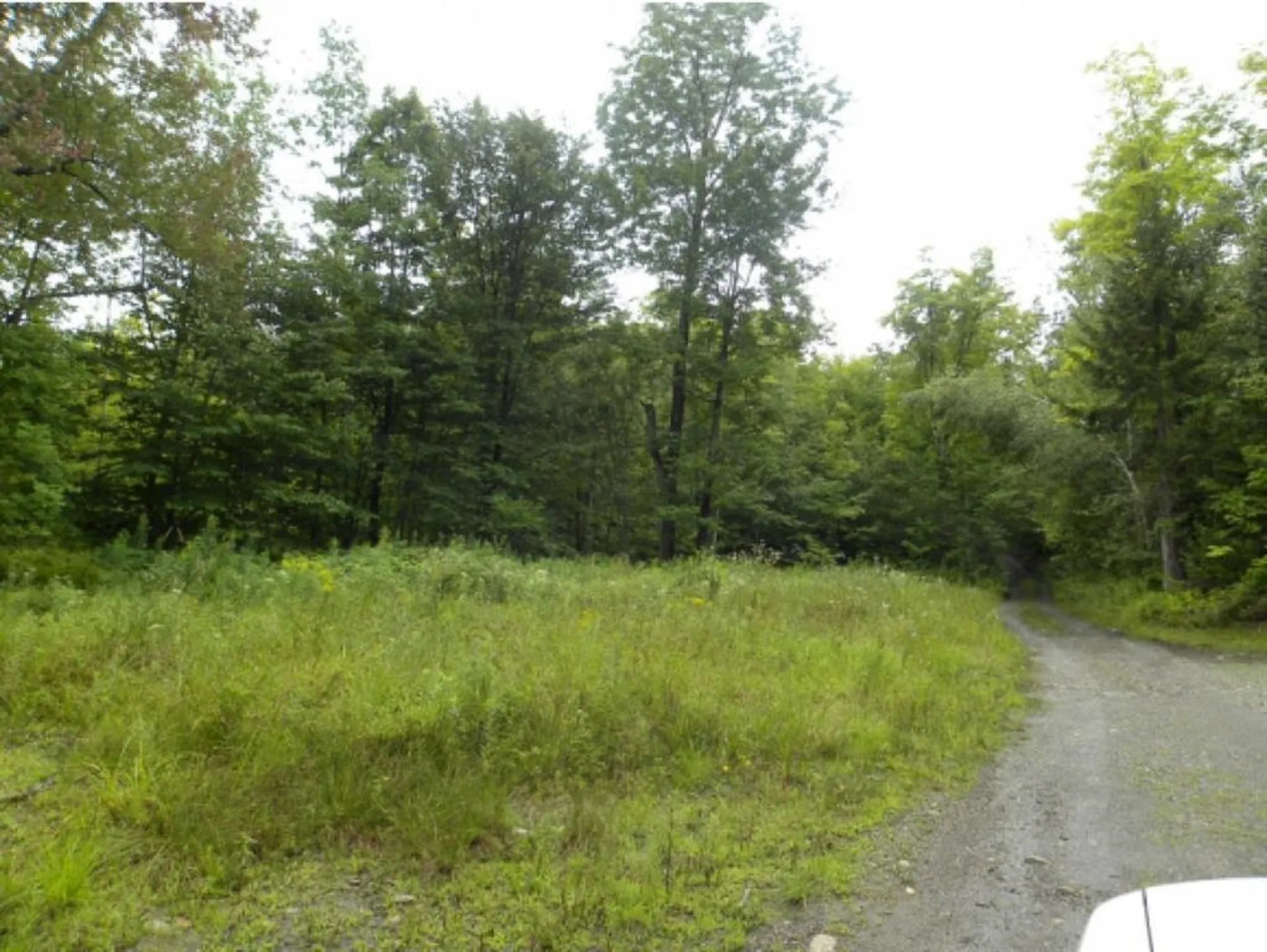 Off Ball Ground Road Westfield VT 05874