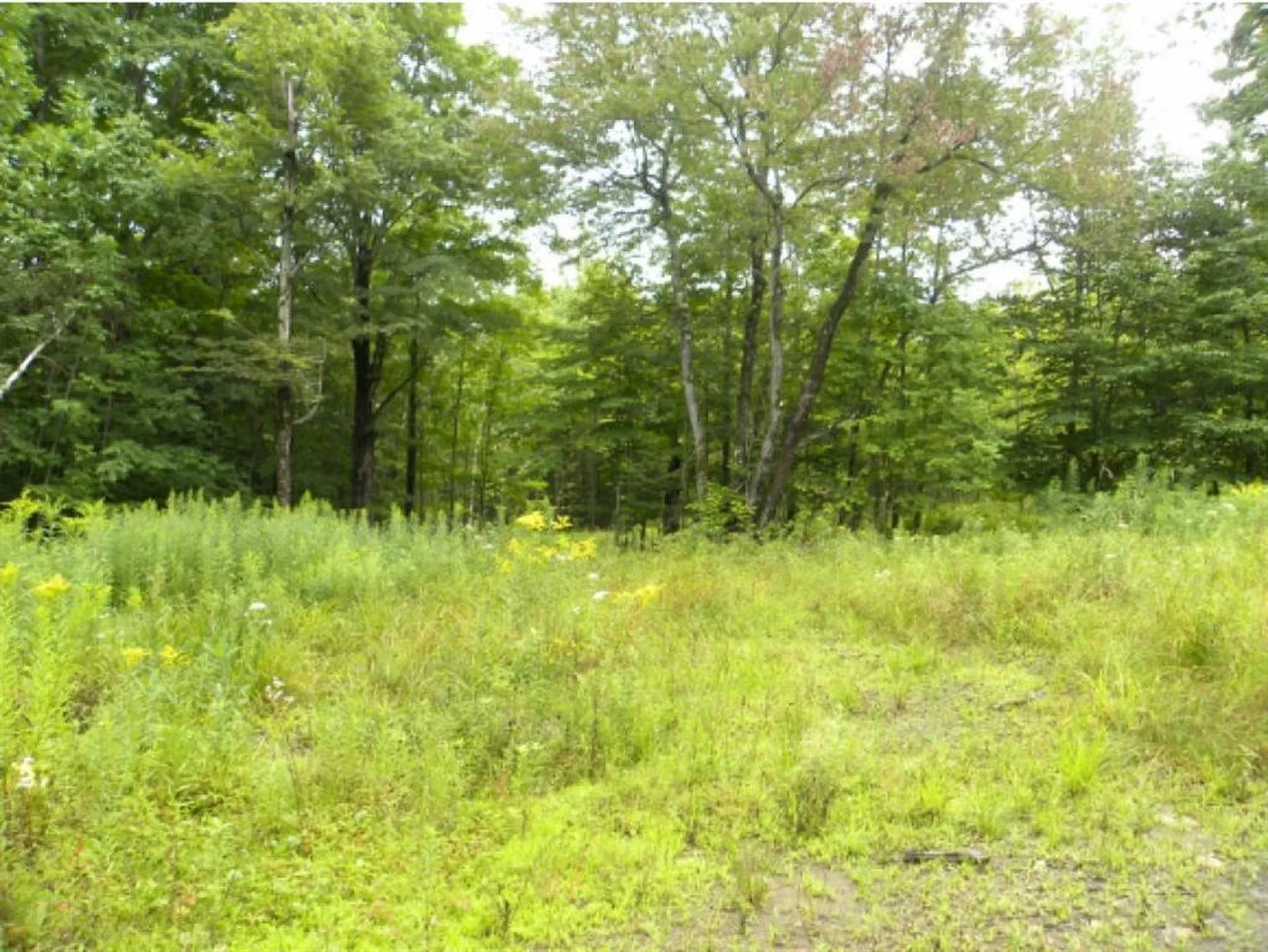 Off Ball Ground Road Westfield VT 05874
