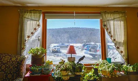 449 Route 103 South Ludlow VT 05149
