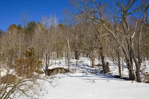 449 Route 103 South Ludlow VT 05149